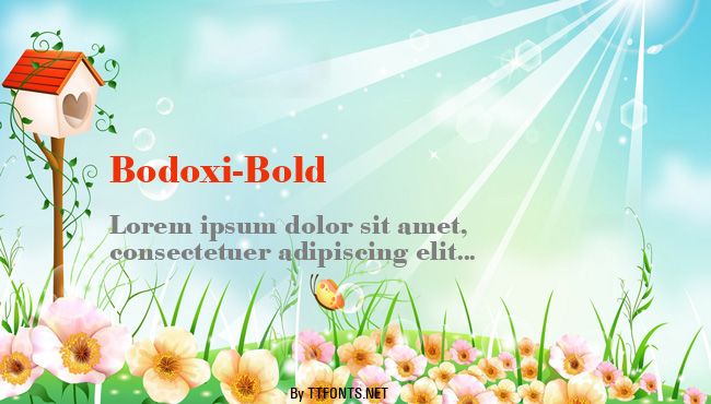 Bodoxi-Bold example
