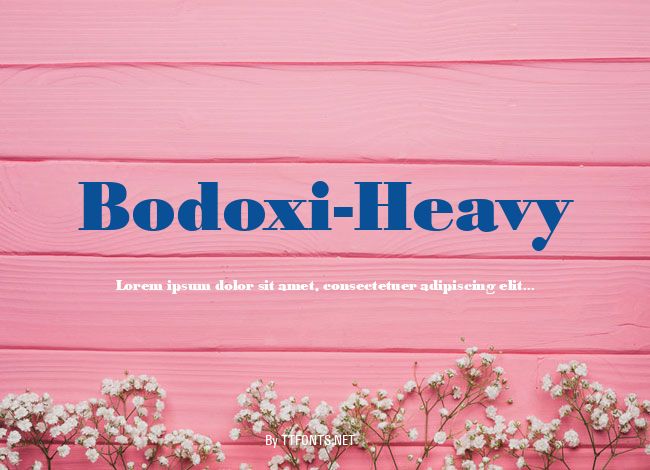 Bodoxi-Heavy example