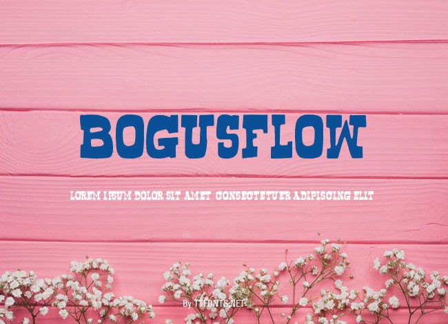 Bogusflow example
