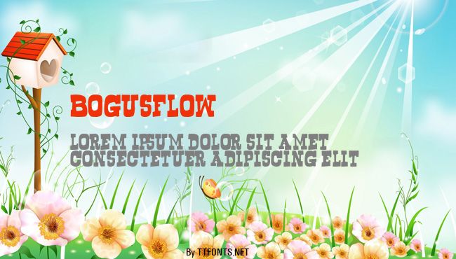 Bogusflow example
