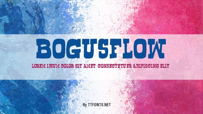 Bogusflow example