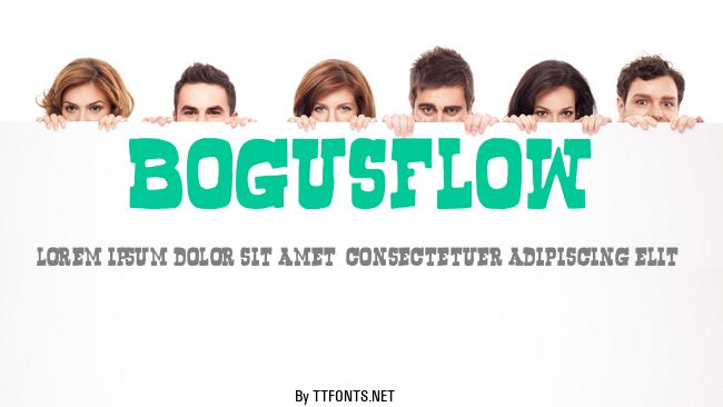 Bogusflow example