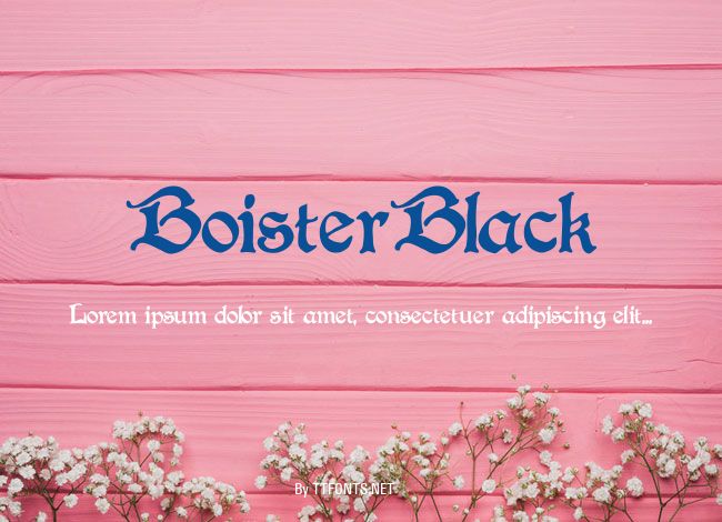 BoisterBlack example