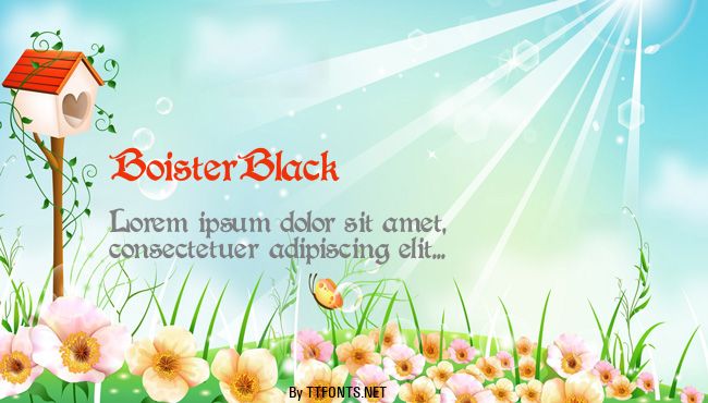 BoisterBlack example