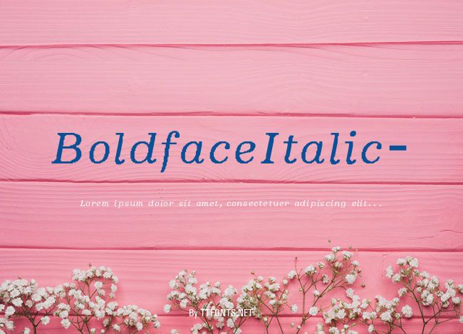 BoldfaceItalic- example