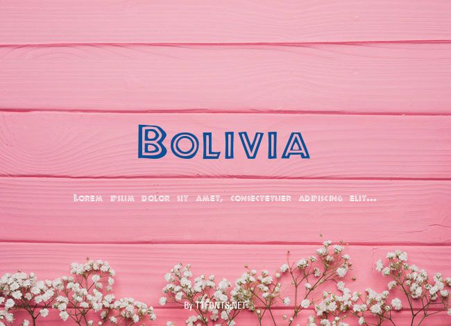 Bolivia example