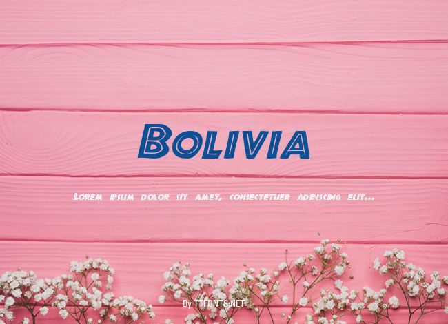 Bolivia example