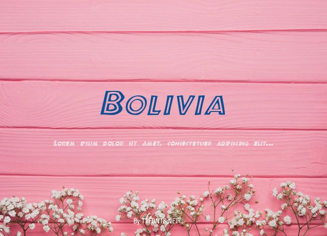 Bolivia example