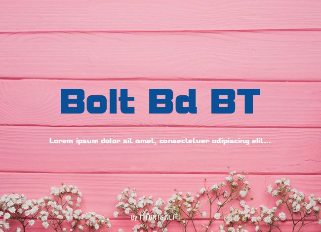 Bolt Bd BT example