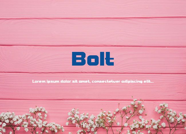 Bolt example