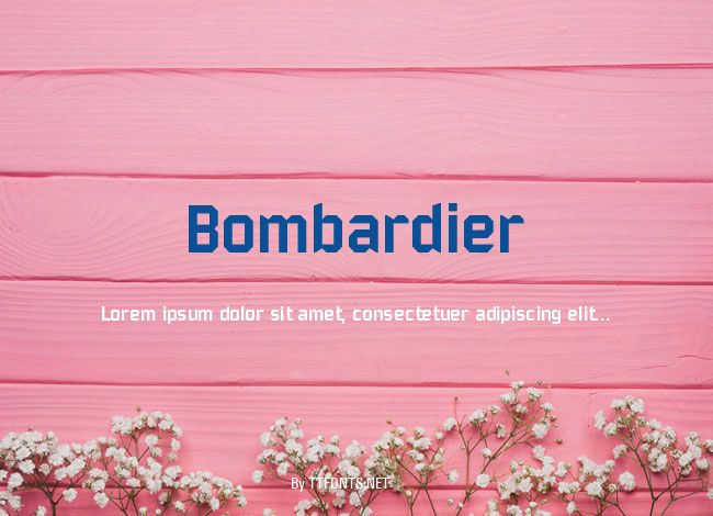 Bombardier example