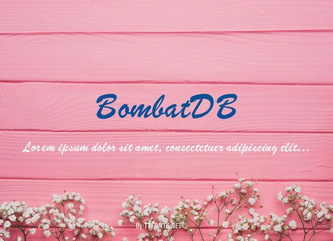 BombatDB example