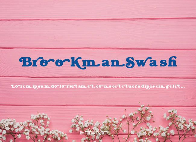 BrookmanSwash example