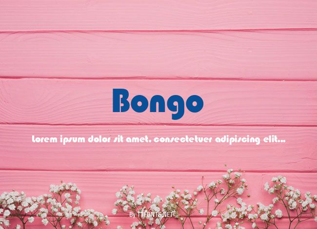 Bongo example