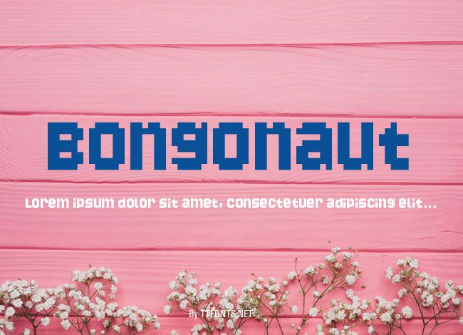 Bongonaut example