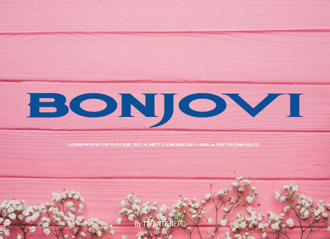 BonJovi example