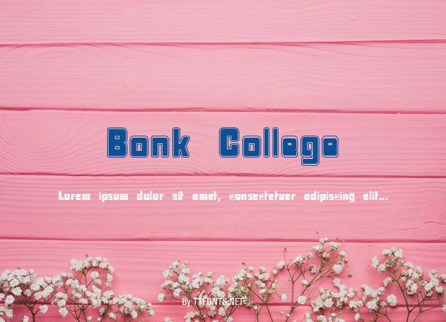 Bonk College example