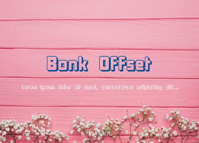 Bonk Offset example