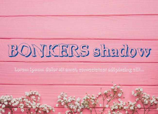 BONKERS shadow example
