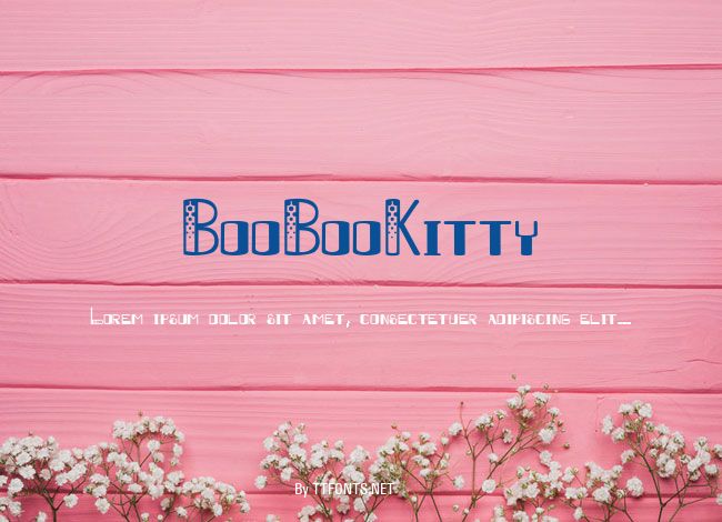 BooBooKitty example