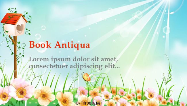 Book Antiqua example