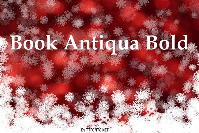 Book Antiqua Bold example