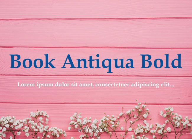 Book Antiqua Bold example