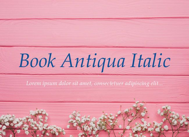 Book Antiqua Italic example