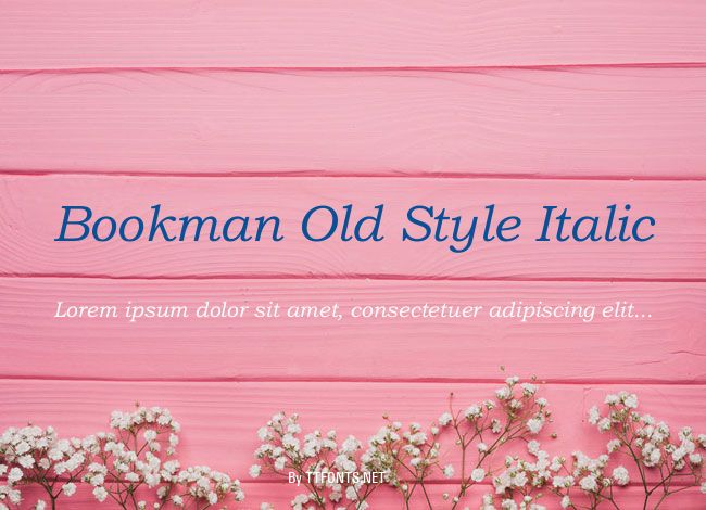 Bookman Old Style Italic example