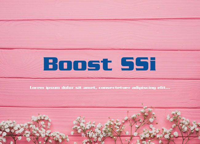 Boost SSi example