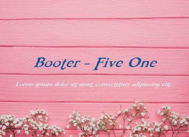 Booter - Five One example