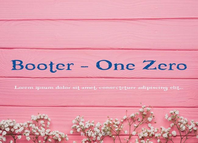 Booter - One Zero example