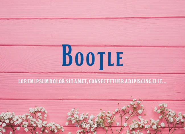 BOOTLE example