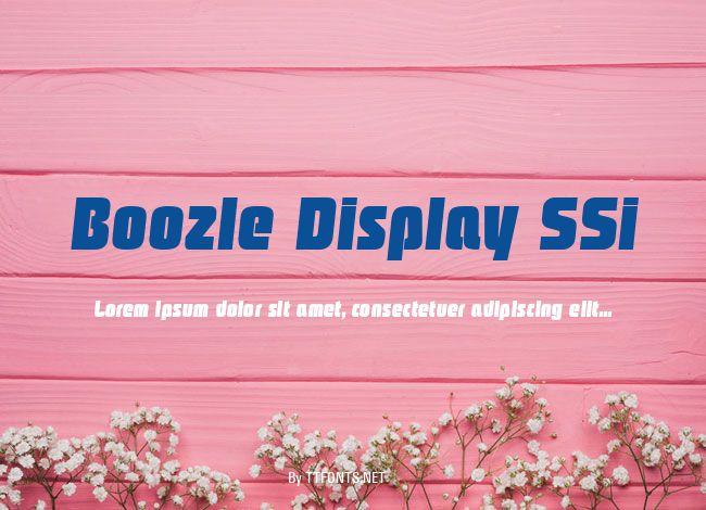 Boozle Display SSi example