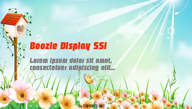 Boozle Display SSi example