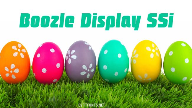 Boozle Display SSi example