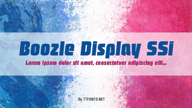 Boozle Display SSi example