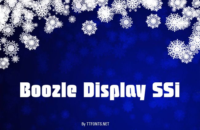 Boozle Display SSi example