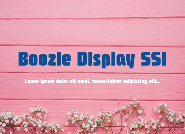 Boozle Display SSi example