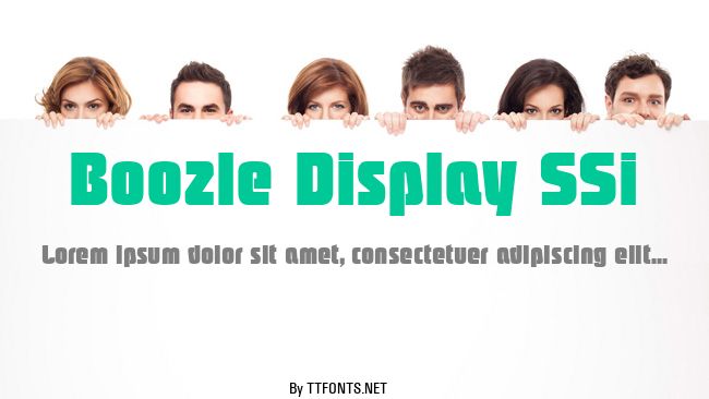 Boozle Display SSi example