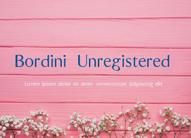 Bordini (Unregistered) example