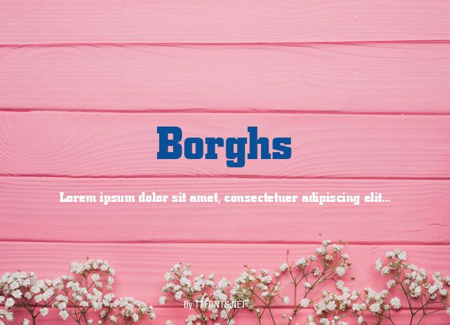 Borghs example
