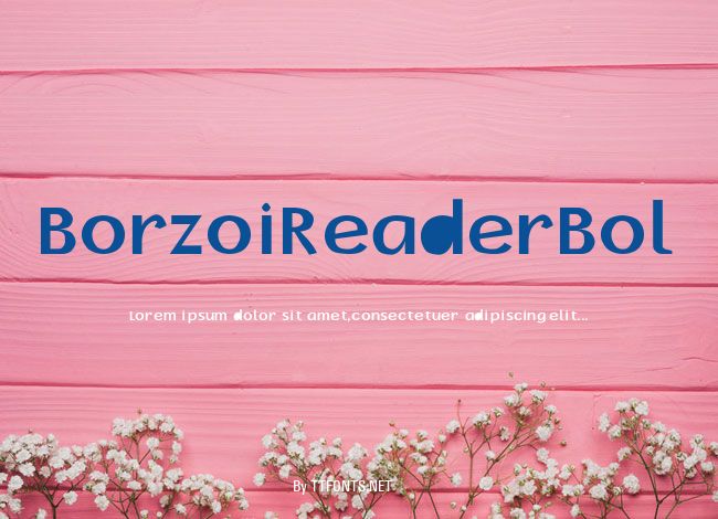 BorzoiReaderBol example