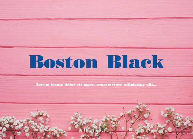 Boston Black example