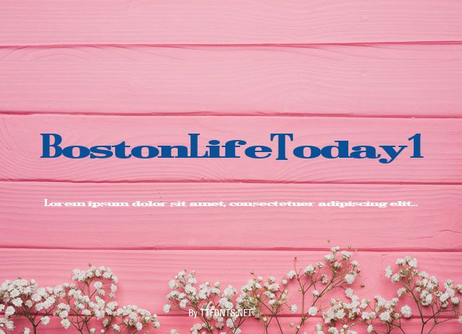 BostonLifeToday1 example
