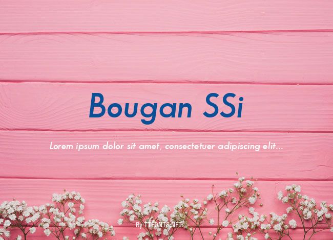 Bougan SSi example
