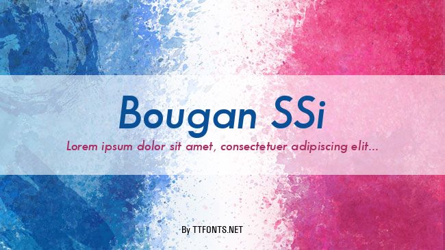 Bougan SSi example