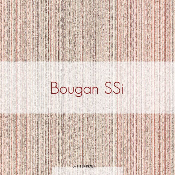 Bougan SSi example