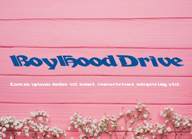 BoyHoodDrive example