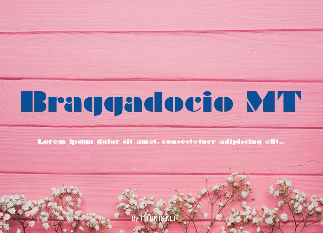Braggadocio MT example